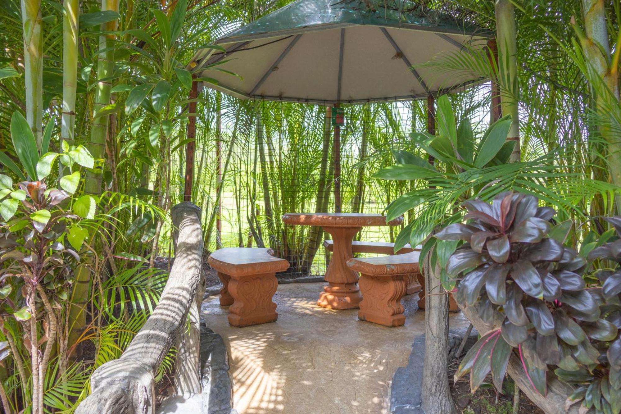 Hotel Relax Termalitas - Thermal Water La Fortuna Екстер'єр фото