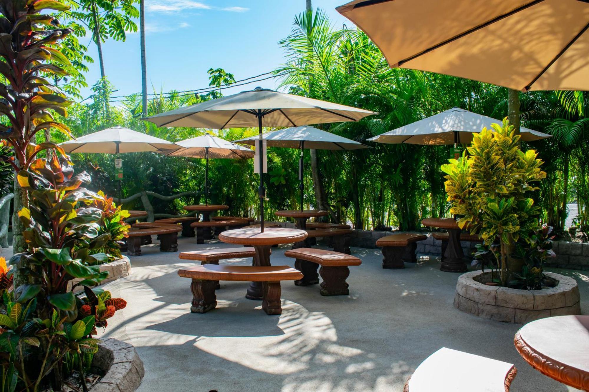 Hotel Relax Termalitas - Thermal Water La Fortuna Екстер'єр фото